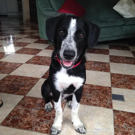 Bed & Breakfast Loreley *