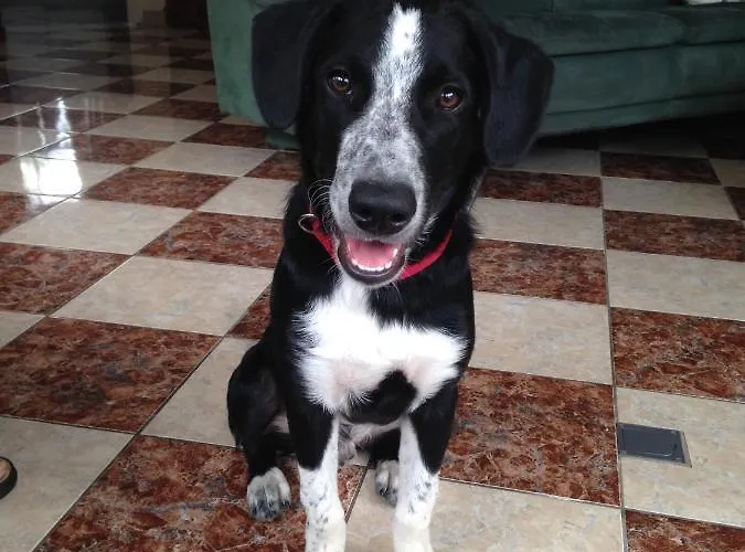 Nocleg ze śniadaniem Loreley *